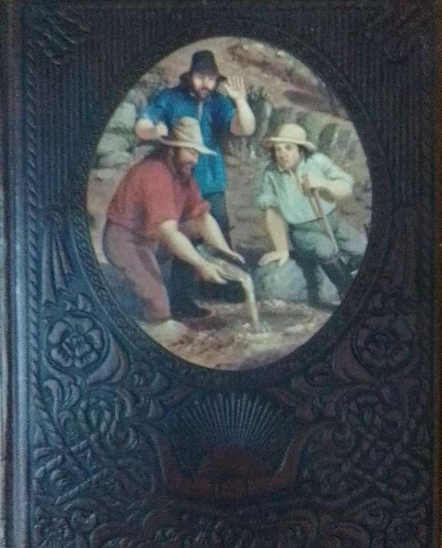 The forty niners