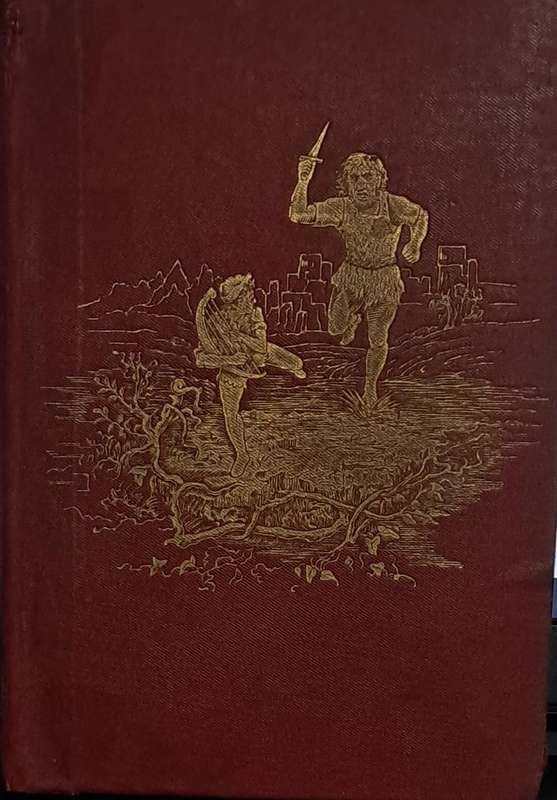 The red fairy book