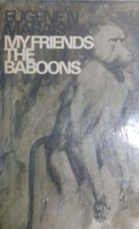 My friends the baboons