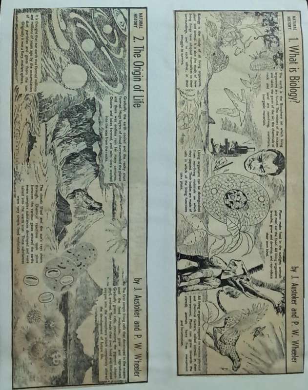 Natural history rand daily mail 1968