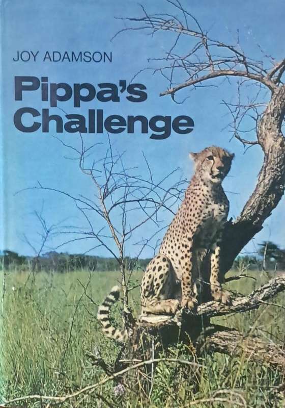 Pippa's challenge