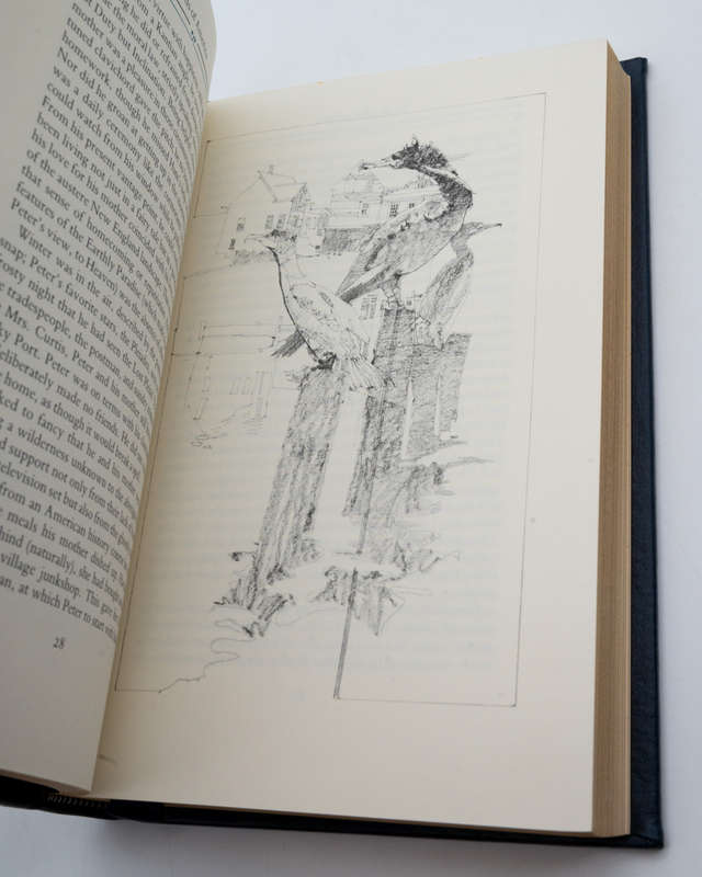 Birds of America by McCarthy, Mary