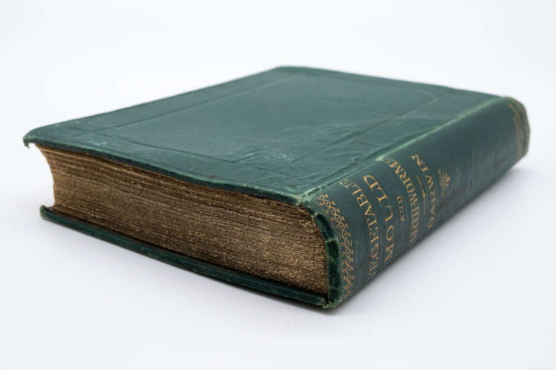 The Formation of Vegetable Mould, through the Action of Worms, with Observations on Their Habits by