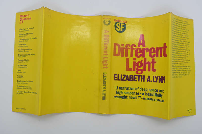 A different Light by Lynn, Elizabeth A
