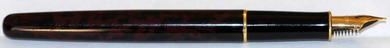 Fountain Pen - Parker