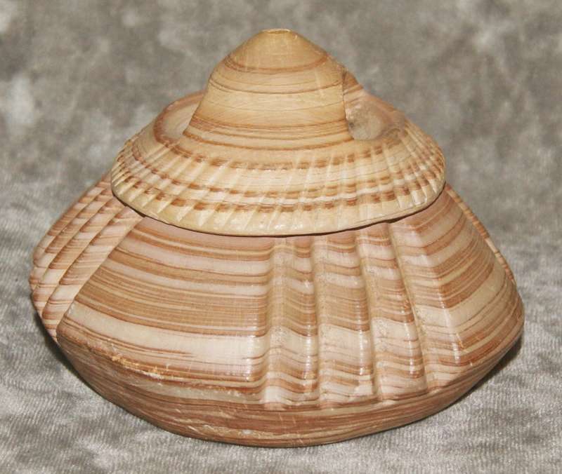 Soapstone hand carved trinket box