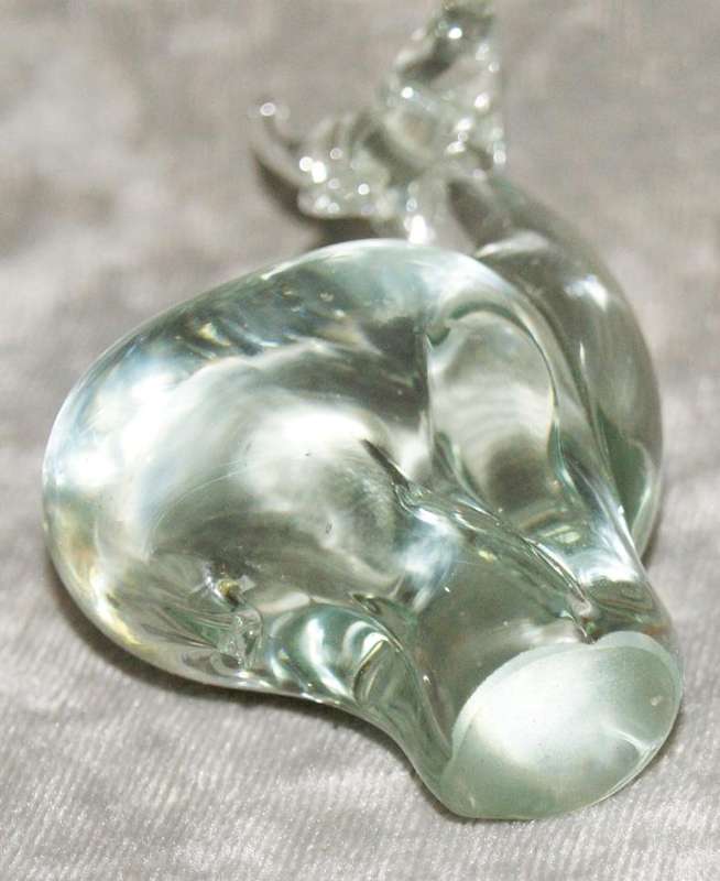 Ngwenya glass Bushbuck