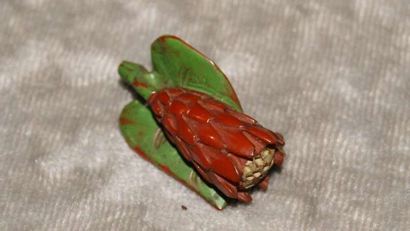 Vintage hand carved Protea brooch pin