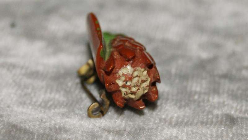 Vintage hand carved Protea brooch pin