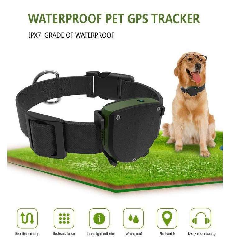 RCT Pet Tracker