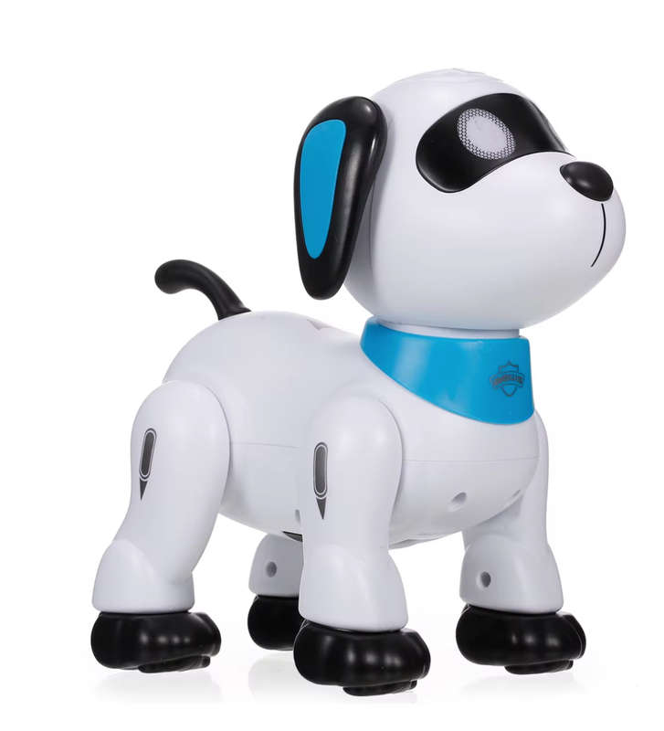 Voice programming stunt dog