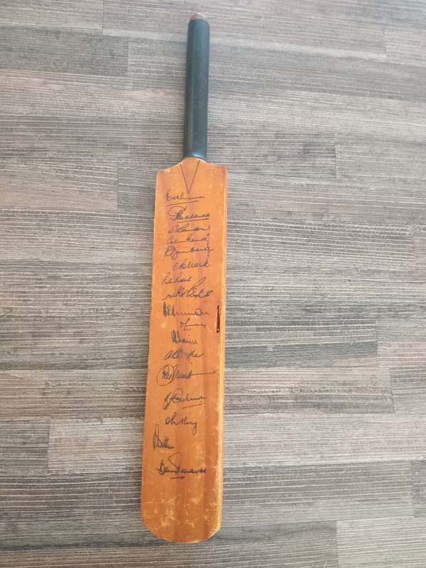 Mini cricket bat