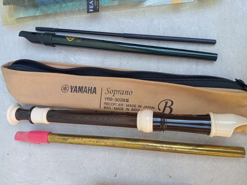 Assorted flutes