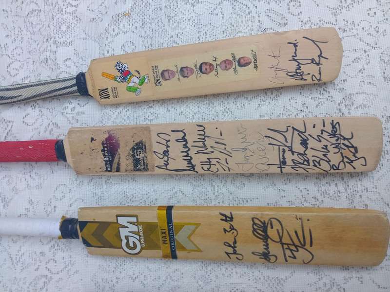Mini cricket bats