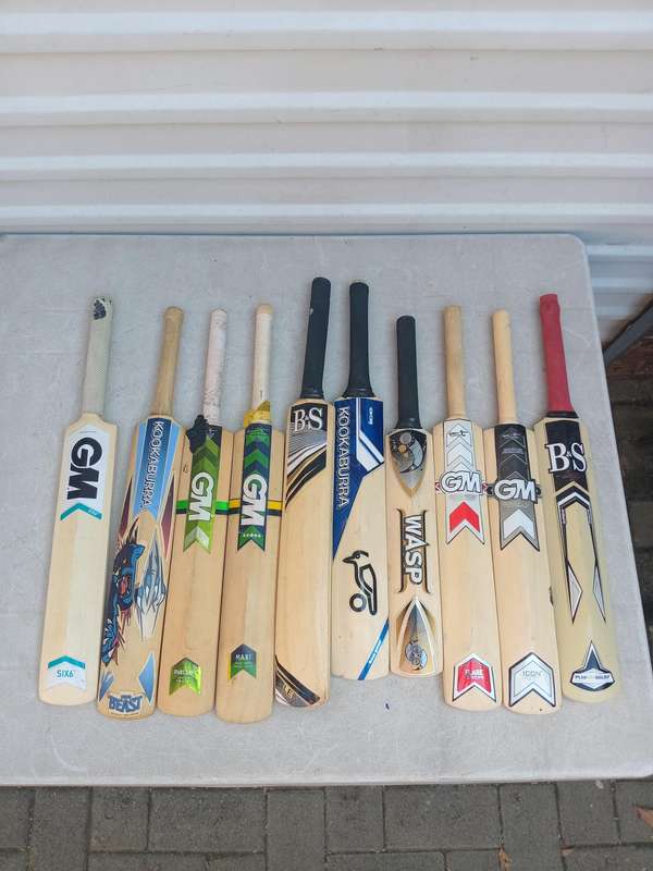 Mini cricket bats