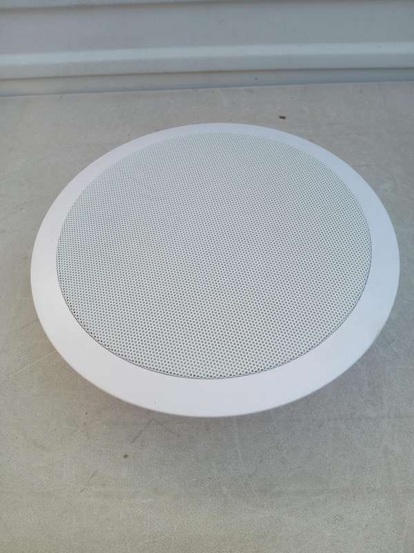 Viper ceiling speaker