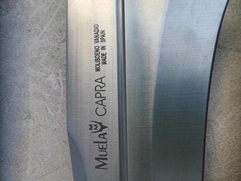 Muela capra