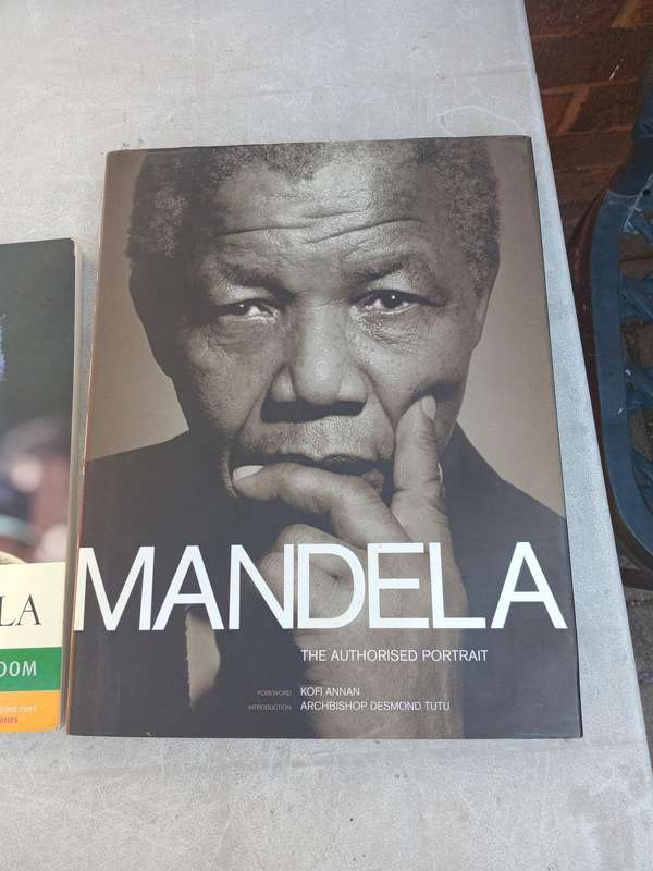 Mandela the authorized portrait