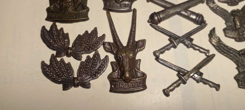 SWATF REACTION UNIT CAP BADGES.SEE DESC.