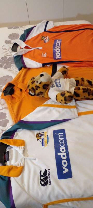 3X CHEETAH RUGBY SHIRTS PLUS A CHEETAH MASCOT TEDDY BEAR. SEE DESC.