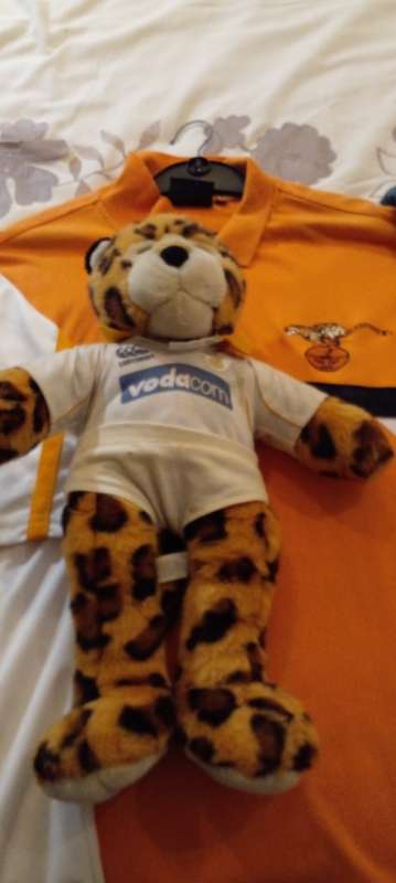3X CHEETAH RUGBY SHIRTS PLUS A CHEETAH MASCOT TEDDY BEAR. SEE DESC.