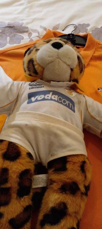 3X CHEETAH RUGBY SHIRTS PLUS A CHEETAH MASCOT TEDDY BEAR. SEE DESC.