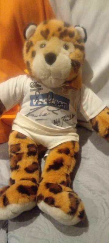 RARE SIGNED CHEETAH RUGBY MEMORABILIA. GYSIE AND RUAN PIENAAR.FATHER AND SON RUGBY LEGENDS..