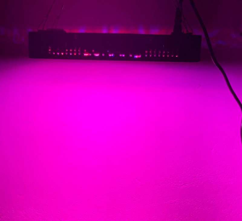 Lunar LED Grow Light Panel
