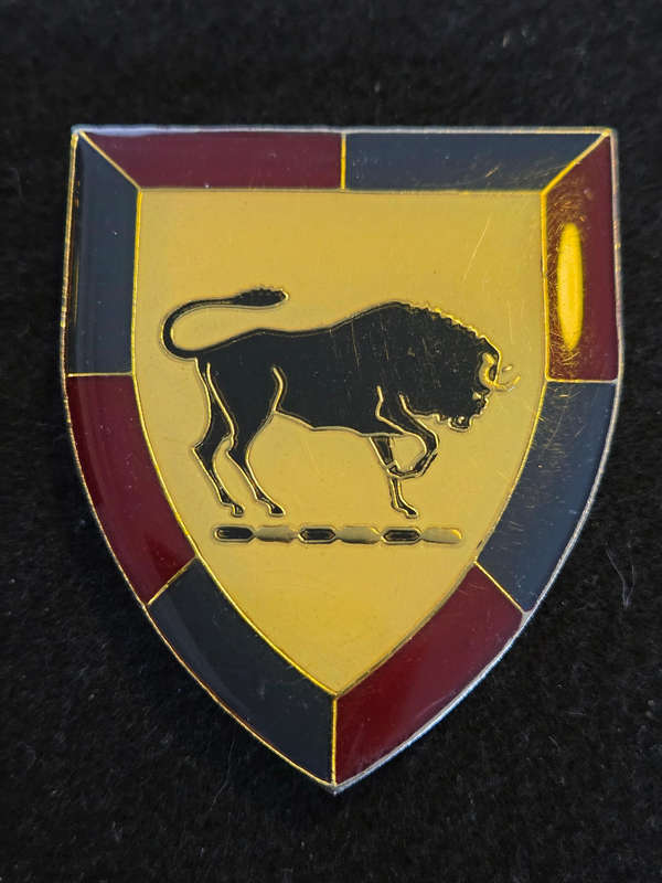 SA Army College Shoulder Flash