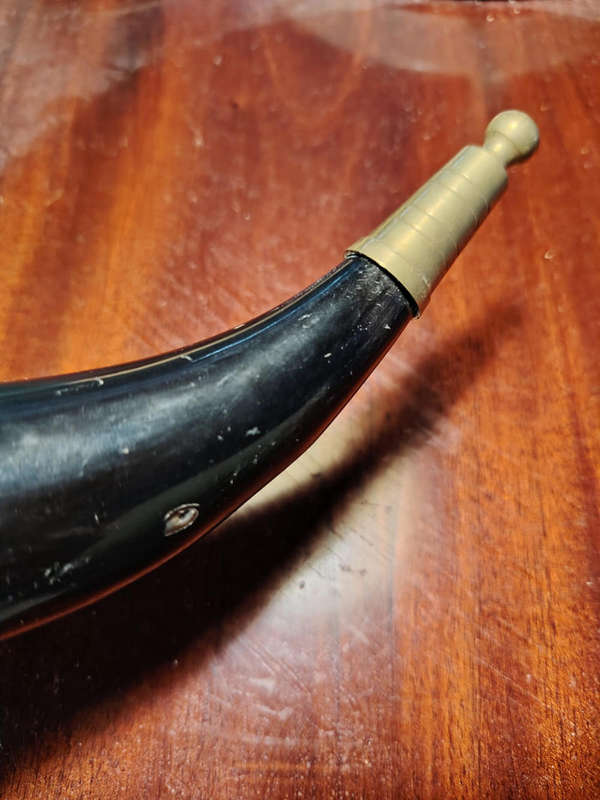 Viking Horn Mug