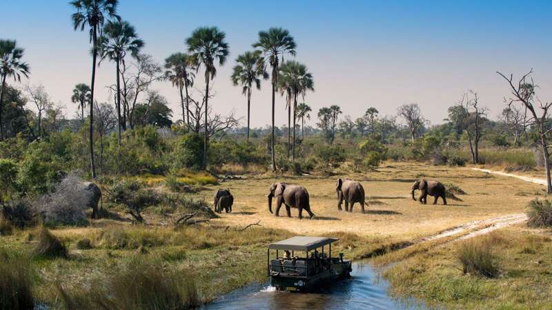 Various Midweeks @ Mabalingwe Nature Reserve ( 4 adults 2 kids under 12)