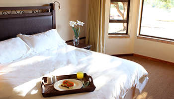 Various Midweeks @ Monateng safari lodge  ( 4 adults 2 kids under 12)