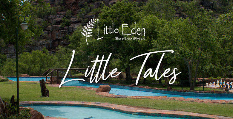 Midweek Accommodation for 4 Adults and 2 Children under 12 @ Various Gauteng Resorts