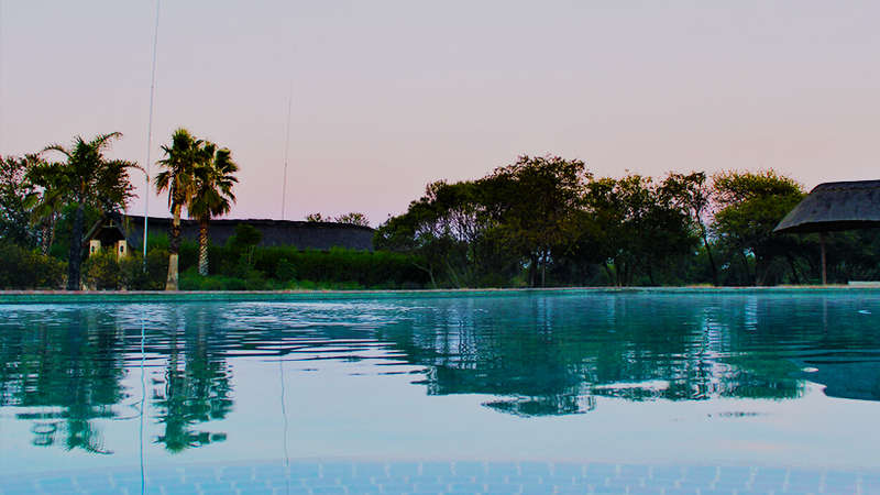 Various Midweeks @ Monateng safari lodge  ( 4 adults 2 kids under 12)