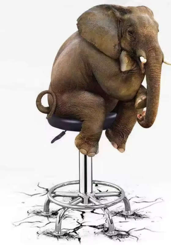 Stylist Modern Round Salon Stool with Adjustable Height and Back Rest