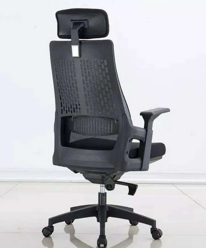 Eay Eay Thing Ergonomic Home Office Chair