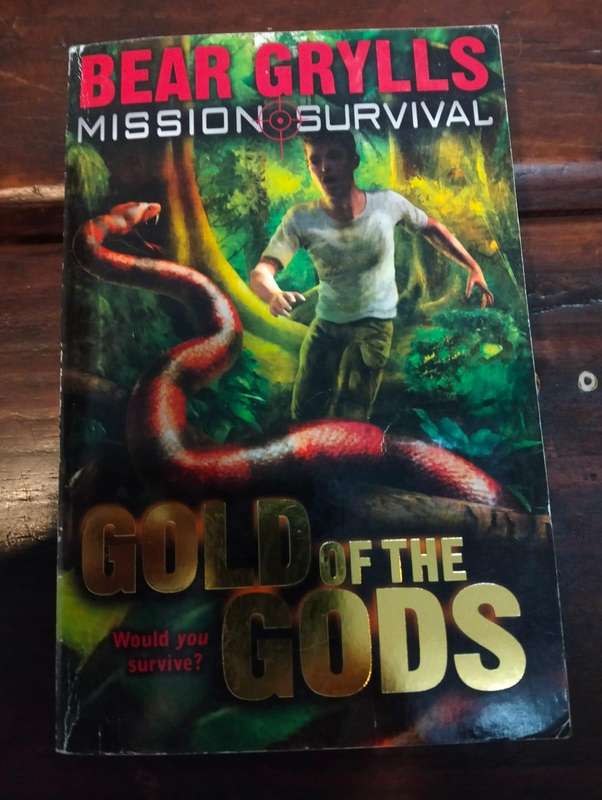 Gold of the Gods (Bear Grylls Mission Survival Book 1)