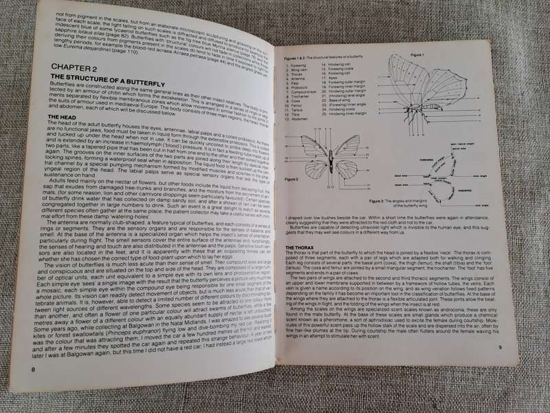 Field Guide to the Butterflies of Southern Africa - Ivor Migdoll