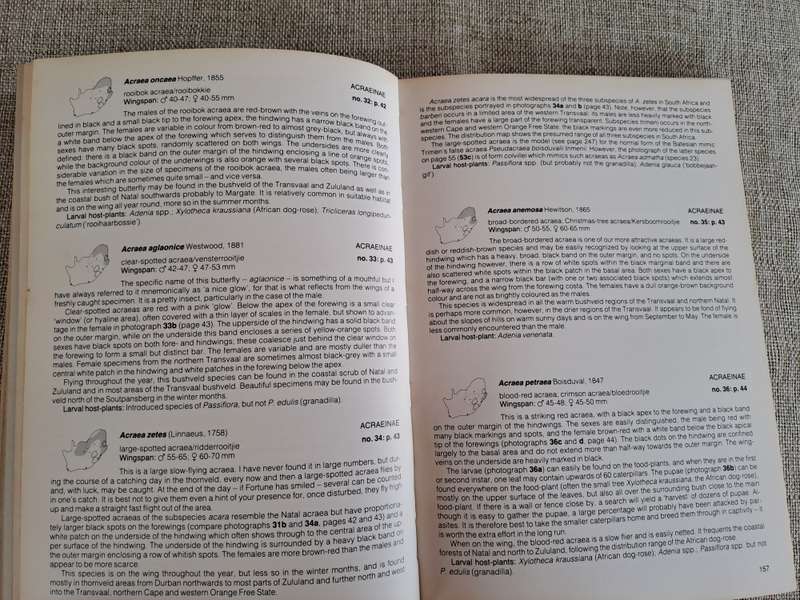 Field Guide to the Butterflies of Southern Africa - Ivor Migdoll