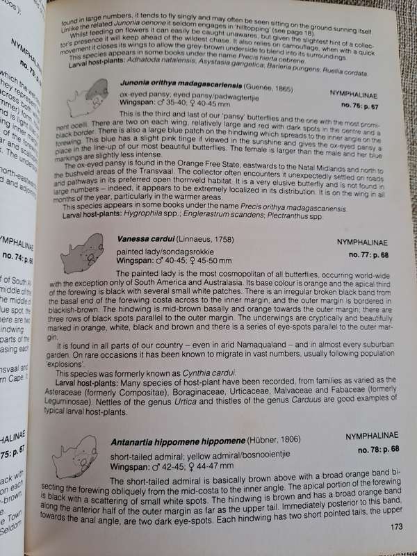 Field Guide to the Butterflies of Southern Africa - Ivor Migdoll