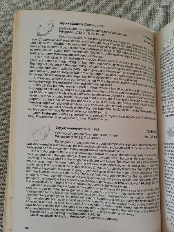 Field Guide to the Butterflies of Southern Africa - Ivor Migdoll