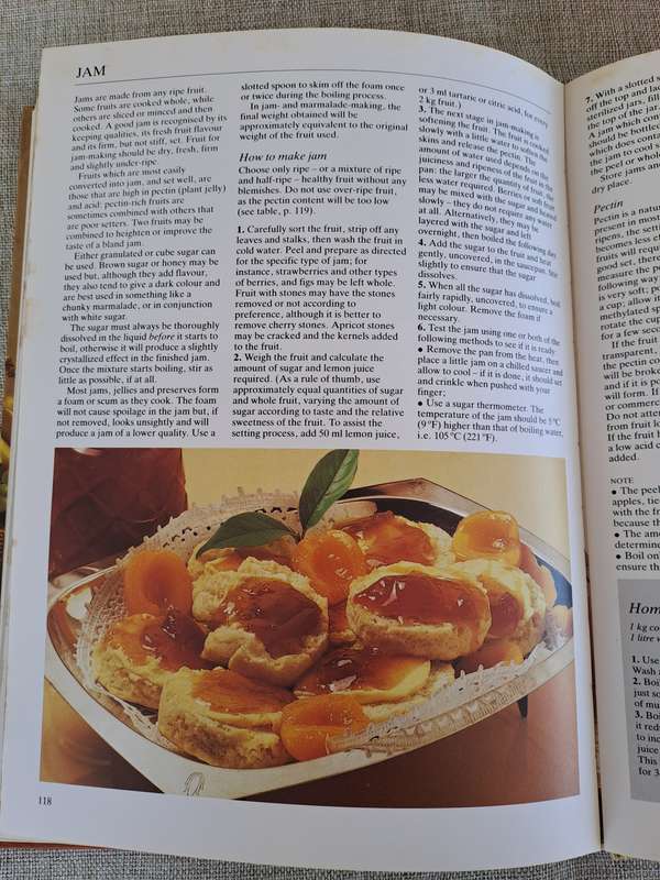 South African Fruit Cooking & Preserving - Magdaleen van Wyk