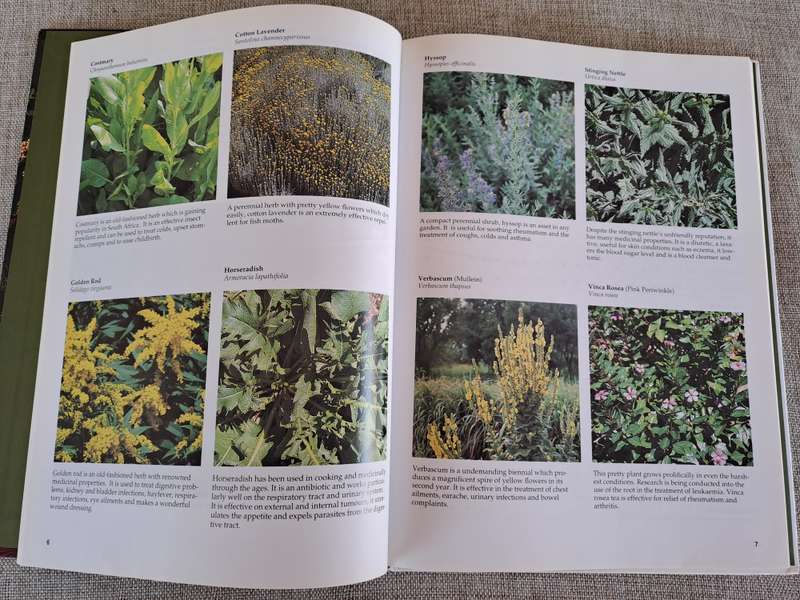 A-Z of Herbs :Identifying Herbs, How to Grow Herbs, The uses of herbs - Margaret Roberts