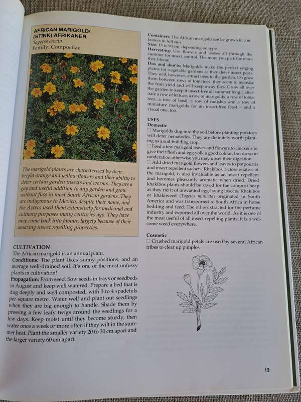 A-Z of Herbs :Identifying Herbs, How to Grow Herbs, The uses of herbs - Margaret Roberts
