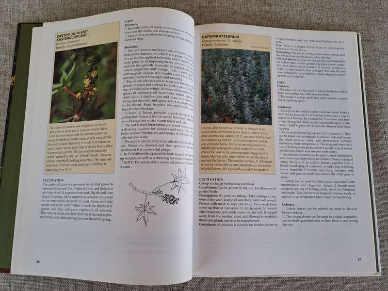 A-Z of Herbs :Identifying Herbs, How to Grow Herbs, The uses of herbs - Margaret Roberts