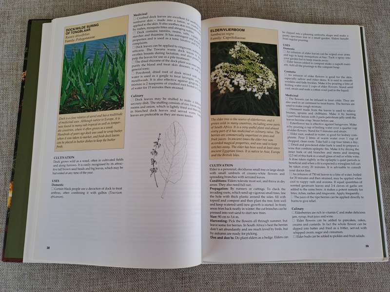 A-Z of Herbs :Identifying Herbs, How to Grow Herbs, The uses of herbs - Margaret Roberts