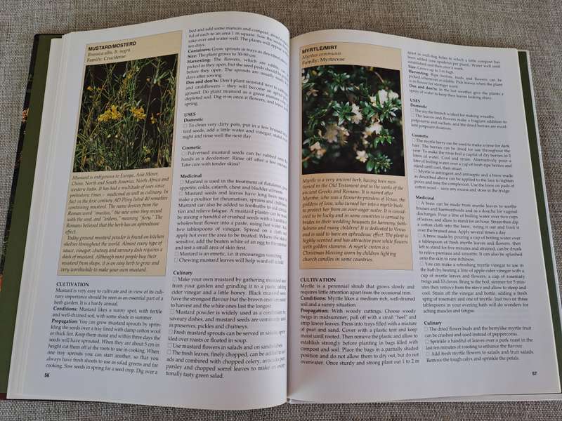 A-Z of Herbs :Identifying Herbs, How to Grow Herbs, The uses of herbs - Margaret Roberts