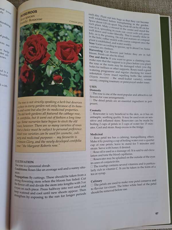 A-Z of Herbs :Identifying Herbs, How to Grow Herbs, The uses of herbs - Margaret Roberts