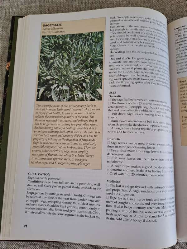 A-Z of Herbs :Identifying Herbs, How to Grow Herbs, The uses of herbs - Margaret Roberts