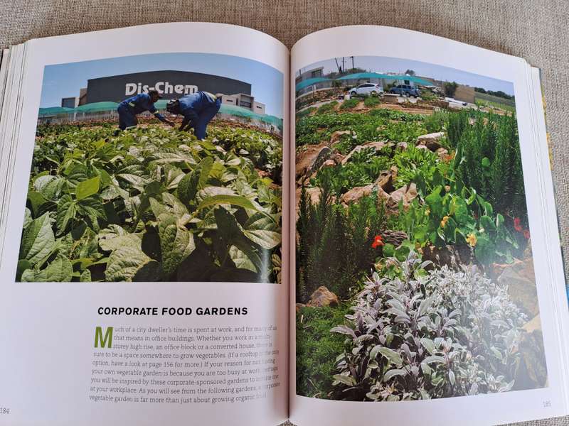 Janes Delicious Urban Gardening - Jane Griffiths